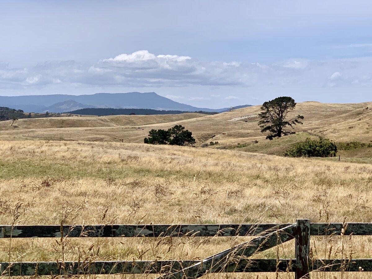 El Nino expected to bring a drier summer to Kaipara 